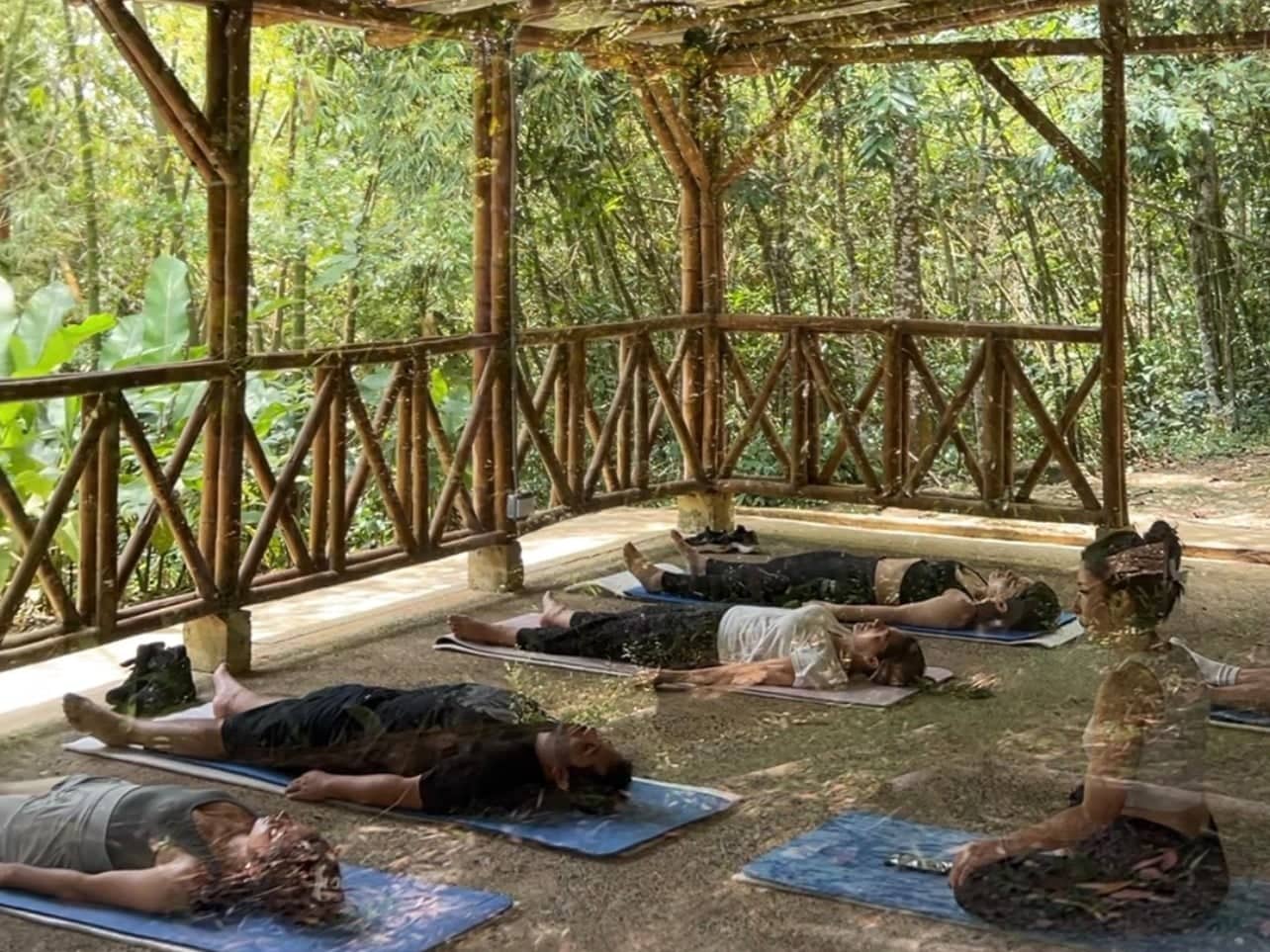 Personas practicando yoga sobre esterillas azules bajo una pérgola de bambú rodeada de bosque, en la reserva de La Maima